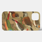 Fünf bunte Tier-Vögel auf einem Zweig Case-Mate iPhone Hülle (Rückseite (Horizontal))