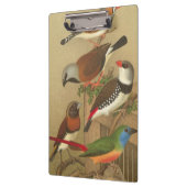 Fünf bunte Tier-Vögel auf einem Zweig Klemmbrett (Links)