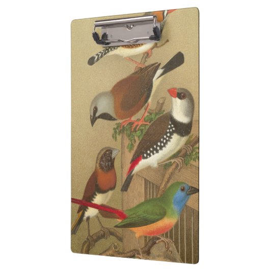 Fünf bunte Tier-Vögel auf einem Zweig Klemmbrett (Links)