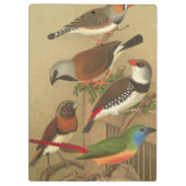 Fünf bunte Tier-Vögel auf einem Zweig Klemmbrett (Rückseite)