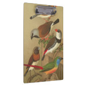 Fünf bunte Tier-Vögel auf einem Zweig Klemmbrett (Rechts)