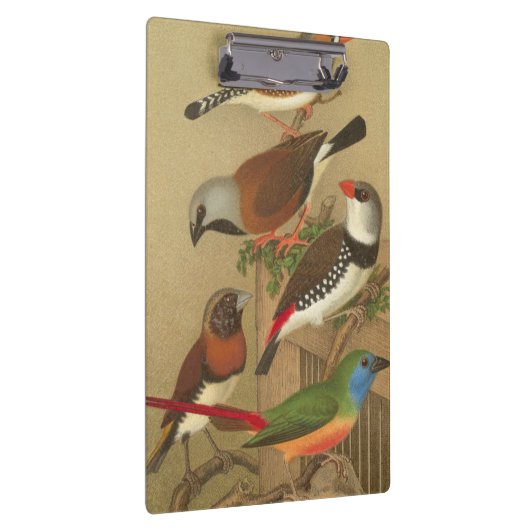 Fünf bunte Tier-Vögel auf einem Zweig Klemmbrett (Rechts)