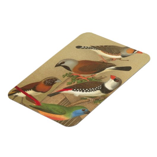 Fünf bunte Tier-Vögel auf einem Zweig Magnet (Linke Seite)