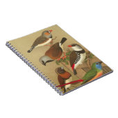 Fünf bunte Tier-Vögel auf einem Zweig Notizblock (Rechte Seite)