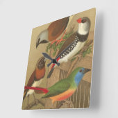 Fünf bunte Tier-Vögel auf einem Zweig Quadratische Wanduhr (Winkel)