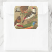 Fünf bunte Tier-Vögel auf einem Zweig Quadratischer Aufkleber (Tasche)