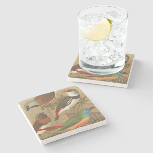 Fünf bunte Tier-Vögel auf einem Zweig Steinuntersetzer (Seitenansicht)