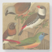 Fünf bunte Tier-Vögel auf einem Zweig Steinuntersetzer (Vorderseite)