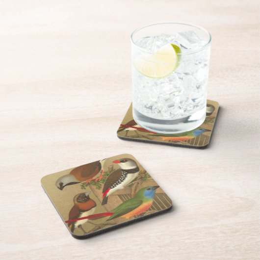 Fünf bunte Tier-Vögel auf einem Zweig Untersetzer (Rechte Seite)