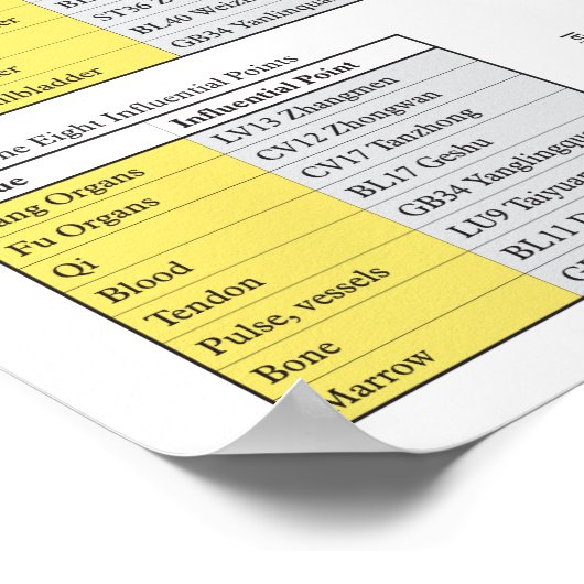 Fünf Elemente Akupunktionspaket Poster (Ecke)