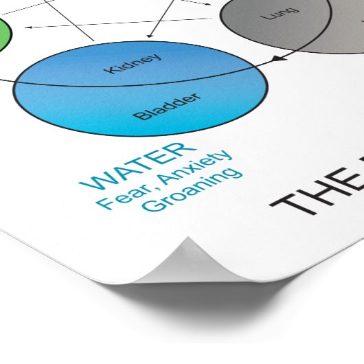 Fünf Elemente der Akupunktur Wall Art Poster (Ecke)