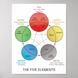 Fünf Elemente der Akupunktur Wall Art Poster