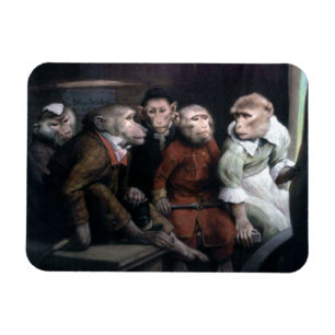 Fünf Extravagante Affen Magnet