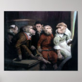 Fünf Extravagante Affen Poster (Vorne)