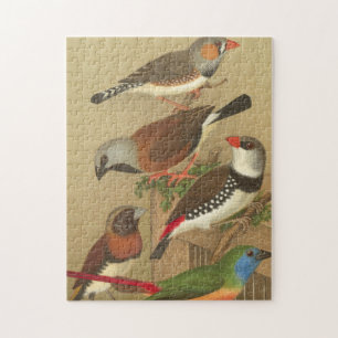 Fünf farbenfrohe Vögel sitzen auf einem Ast Puzzle