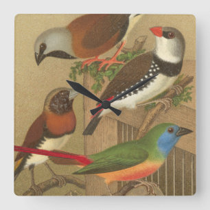 Fünf farbenfrohe Vögel sitzen auf einem Ast Quadratische Wanduhr