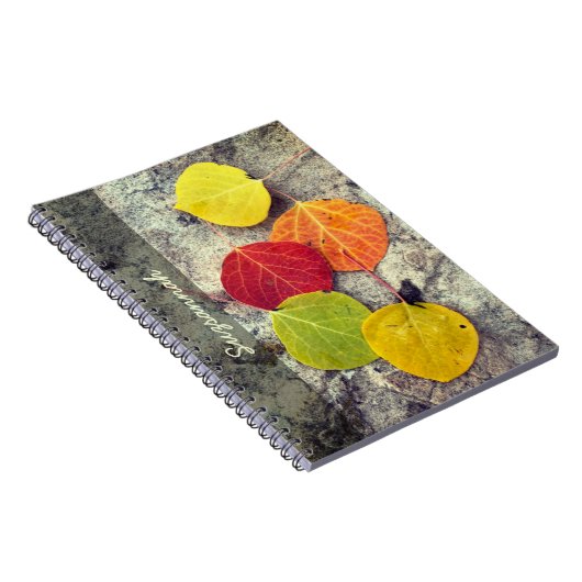 Fünf farbige Herbstasplitten - Blätter nach Maß Notizblock (Rechte Seite)