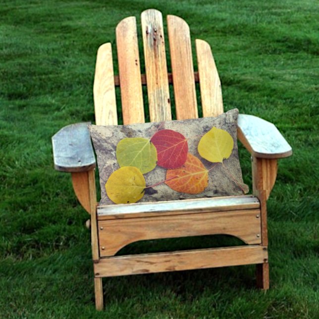 Fünf farbige Rustikale Fall Aspen Blätter Fotograf Kissen Für Draußen (same design on both sides of lumbar pillow)