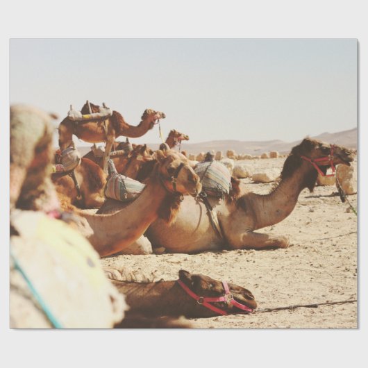 FÜNF FELDER AUF DEM FELD GESCHENKPAPIER (Flach)