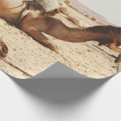 FÜNF FELDER AUF DEM FELD GESCHENKPAPIER (Ecke)