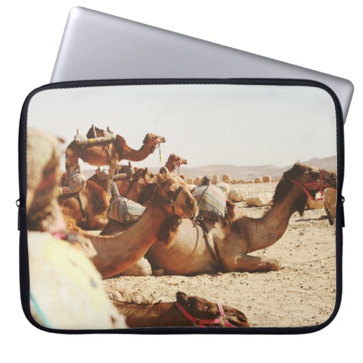 FÜNF FELDER AUF DEM FELD LAPTOPSCHUTZHÜLLE (Vorderseite)
