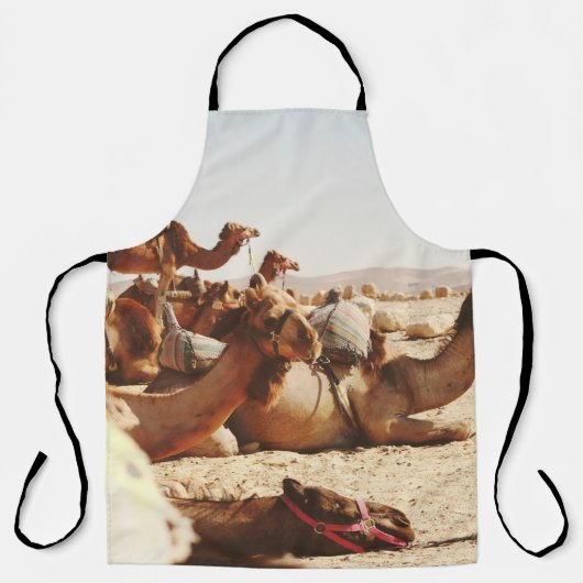 FÜNF FELDER AUF DEM FELD SCHÜRZE (Vorderseite)