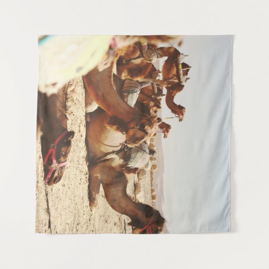 FÜNF FELDER AUF DEM FELD WANDTEPPICH (Vorderseite (Horizontal))