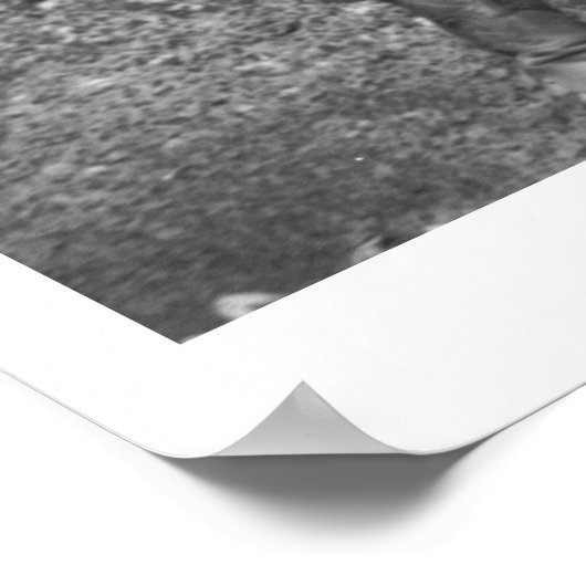 Fünf Frauen auf der Ranch des Typs Poster (Ecke)