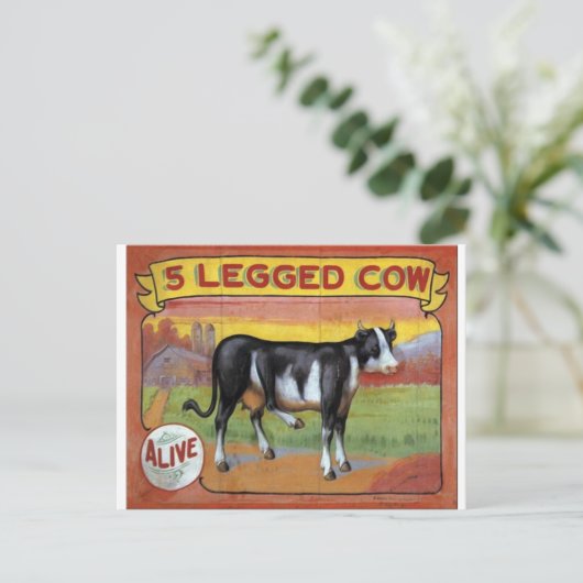 Fünf gelähmte Kuh Postkarte (Stehend Vorderseite)