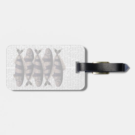Fünf gestreifte Fische Gepäckanhänger (Rückseite horizontal)