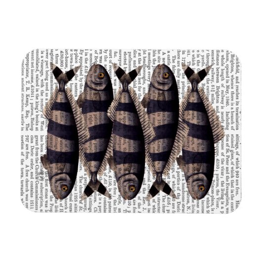 Fünf gestreifte Fische Magnet (Horizontal)