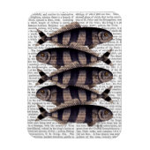 Fünf gestreifte Fische Magnet (Vertikal)