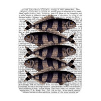 Fünf gestreifte Fische