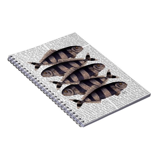 Fünf gestreifte Fische Notizblock (Rechte Seite)
