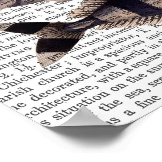 Fünf gestreifte Fische Poster (Ecke)