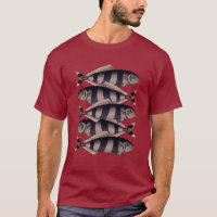 Fünf gestreifte Fische