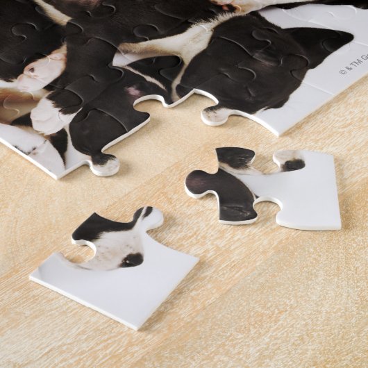 Fünf Harlequin Great Dane Welpen schlafen Puzzle (Seite)