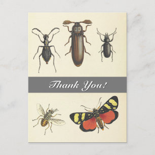 Fünf Insekten im Vintage-Look "Danke!" Postkarte