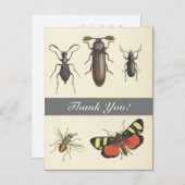 Fünf Insekten Vintag aussehen "Danke!" Postkarte (Vorne/Hinten)