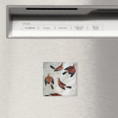 Fünf Jay aus dem Vallardi-Album Magnet (In Situ (Geschirrspüler))