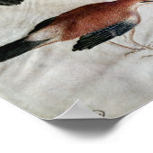 Fünf Jay aus dem Vallardi-Album Poster (Ecke)