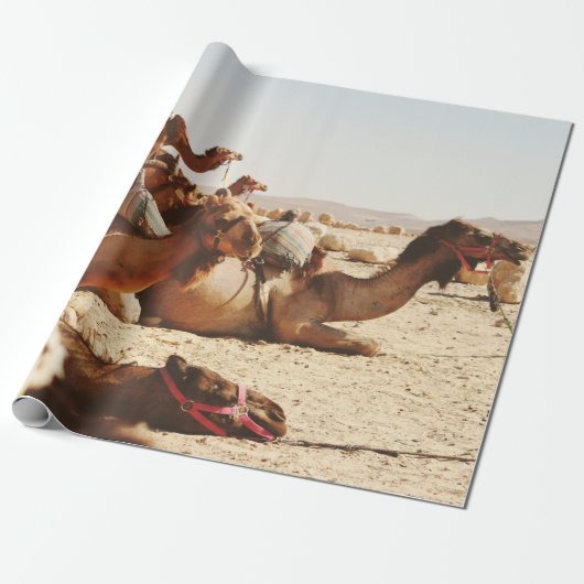 FÜNF KAMEL AUF FELD GESCHENKPAPIER (Ungerollt)