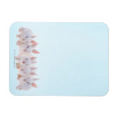 Fünf Kaninchen Magnet (Horizontal)