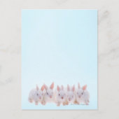 Fünf Kaninchen Postkarte (Vorderseite)