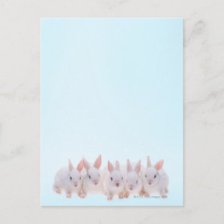 Fünf Kaninchen Postkarte