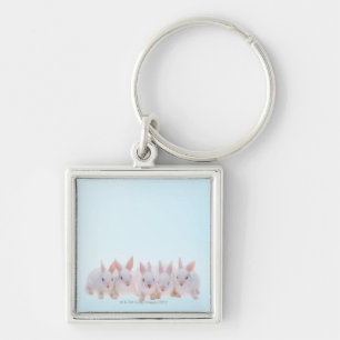 Fünf Kaninchen Schlüsselanhänger