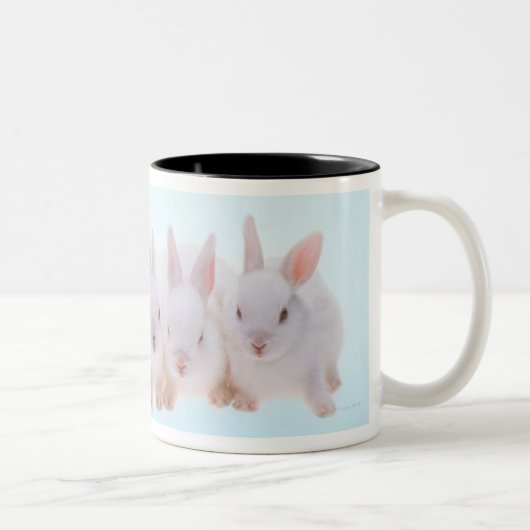 Fünf Kaninchen Zweifarbige Tasse (Rechts)