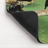 Fünf Kormorane Mousepad (Ecke)