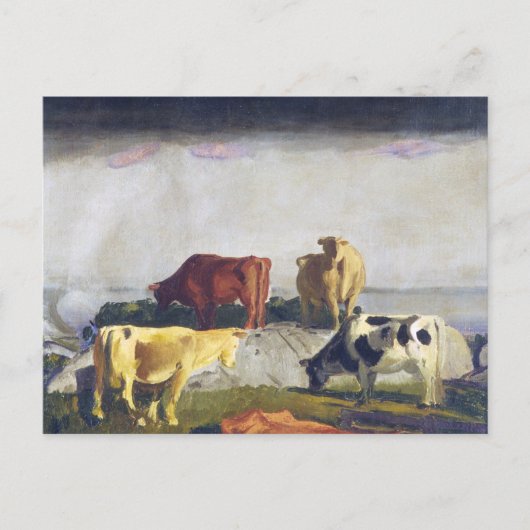 Fünf Kühe -George Bellows Gemälde Postkarte (Vorderseite)