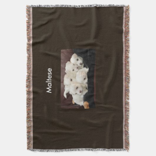 Fünf maltesische Welpen auf einem Blumengewirr Decke (Vorderseite Vertikal)